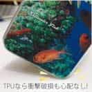 【TPU】熱帯魚　No.1　マツカサ類