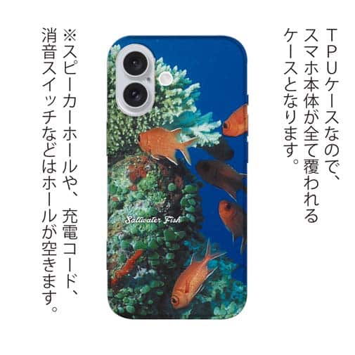 【TPU】熱帯魚　No.1　マツカサ類