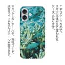【TPU】熱帯魚　No.6　デバスズメ
