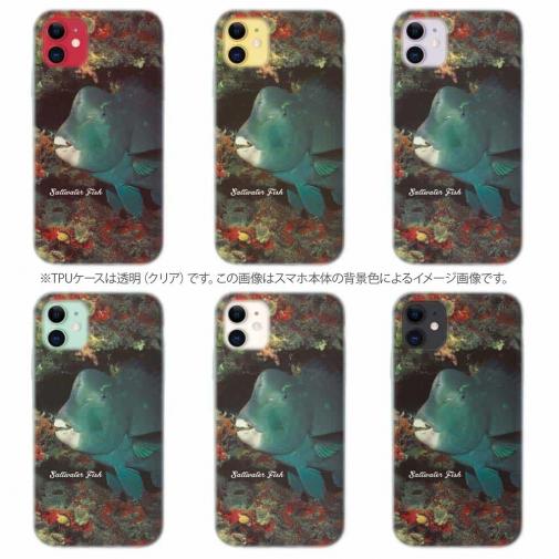 【TPU】熱帯魚　No.7　アオブダイ