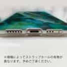 【TPU】熱帯魚　No.8　キュウセンベラ