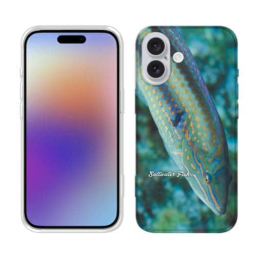 【TPU】熱帯魚　No.8　キュウセンベラ