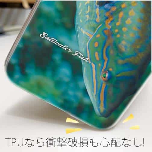 【TPU】熱帯魚　No.8　キュウセンベラ