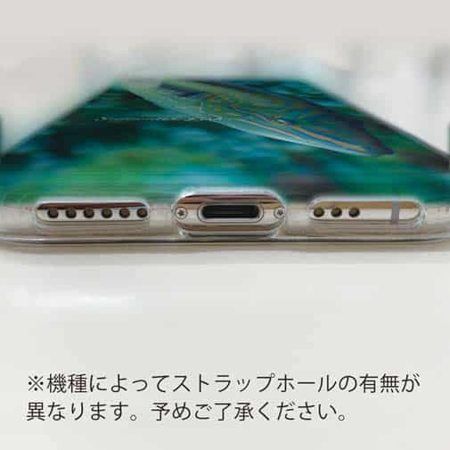 【TPU】熱帯魚　No.8　キュウセンベラ