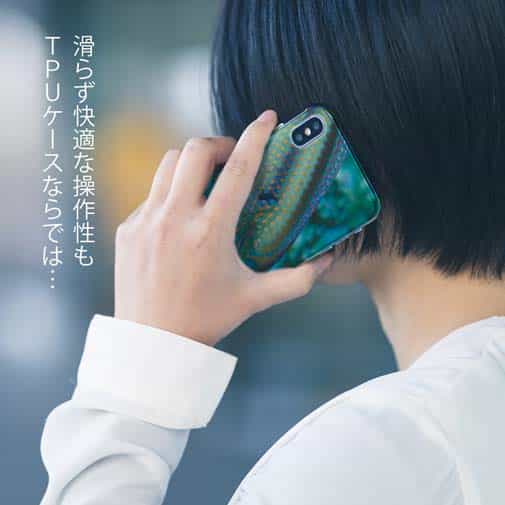 【TPU】熱帯魚　No.8　キュウセンベラ