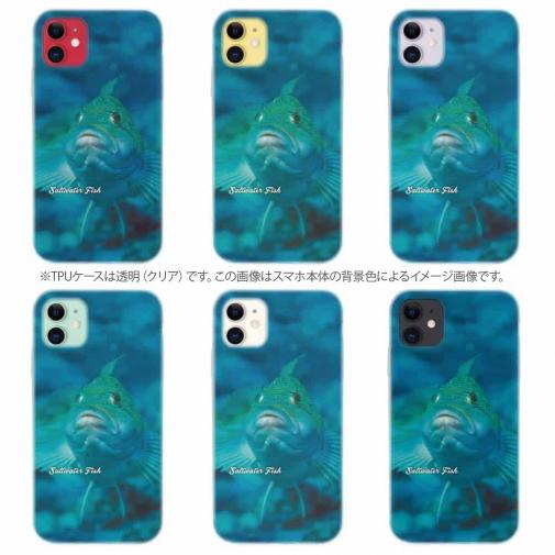 【TPU】熱帯魚　No.9　クジメ