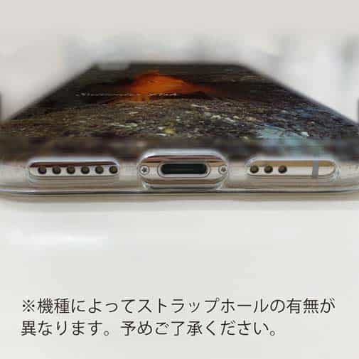 【TPU】熱帯魚　No.10　ウイゴンベ