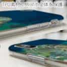 【TPU】熱帯魚　No.11　メバル