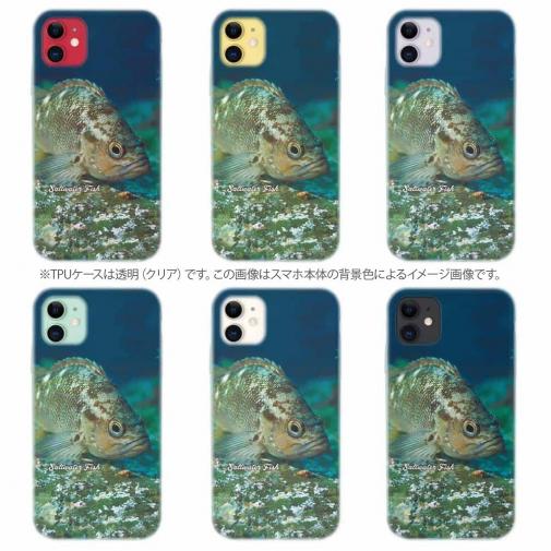 【TPU】熱帯魚　No.11　メバル