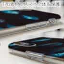 【TPU】熱帯魚　No.12　魚の群泳