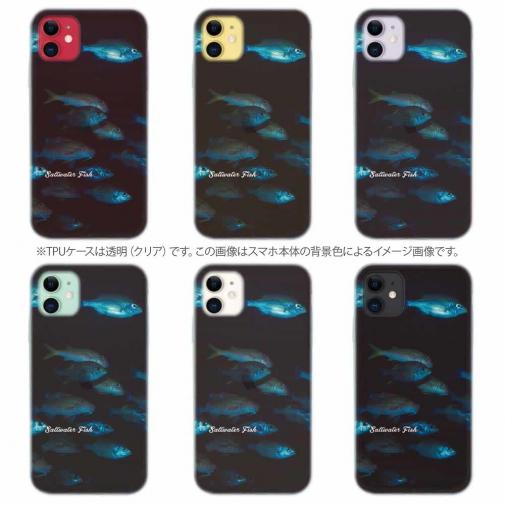 【TPU】熱帯魚　No.12　魚の群泳