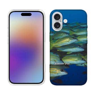 【TPU】熱帯魚　No.14　ヨスジフエダイ