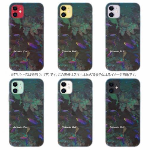 【TPU】熱帯魚　No.15　ベラの飛翔