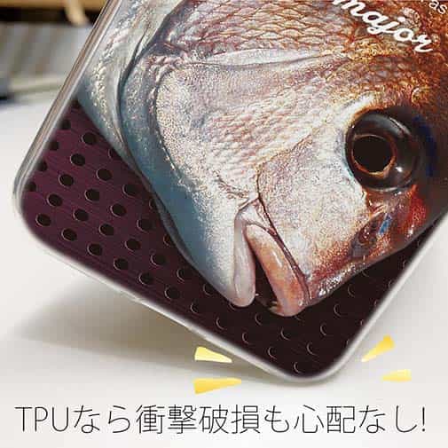 【TPU】マダイ
