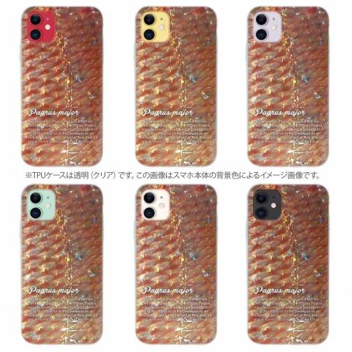 【TPU】マダイのウロコ