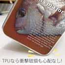 【TPU】マダイのハーフトーン