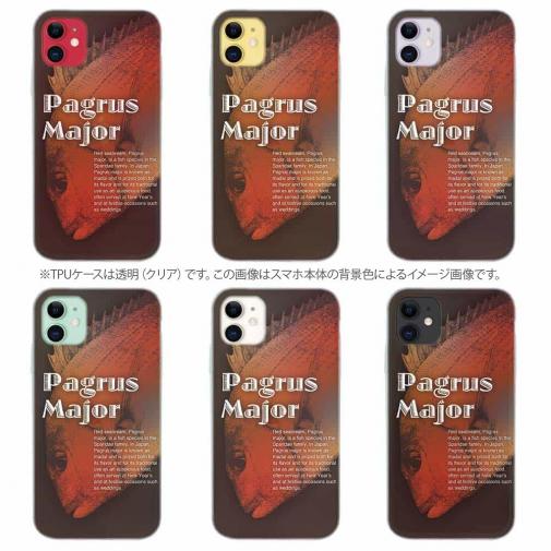 【TPU】ジャジーなマダイ