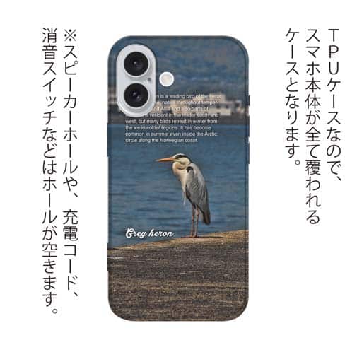 【TPU】アオサギ