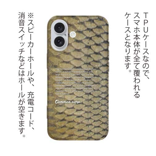 【TPU】コイのウロコ