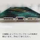 【TPU】アユの追い星