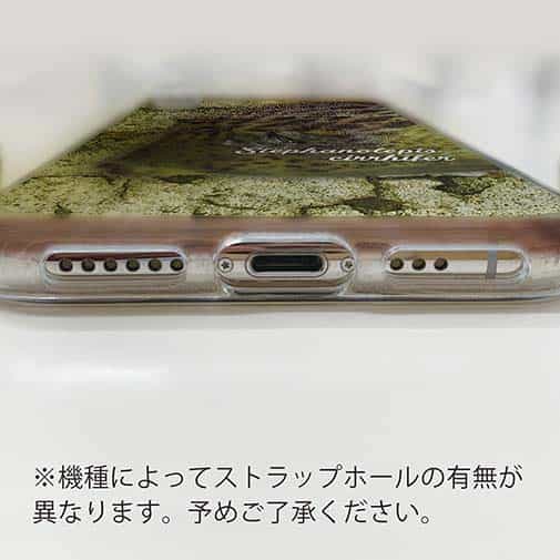 【TPU】カワハギ