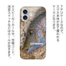 【TPU】タマン(ハマフエフキ)