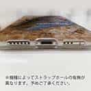 【TPU】タマン(ハマフエフキ)