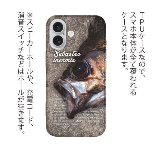 【TPU】メバルの目