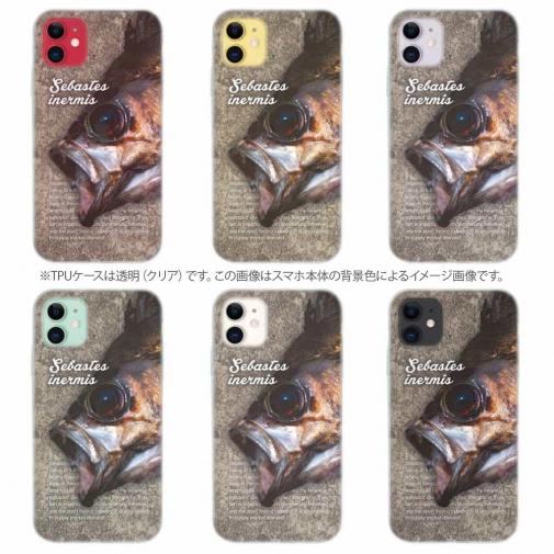 【TPU】メバルの目