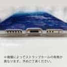 【TPU】イワシ　イラスト