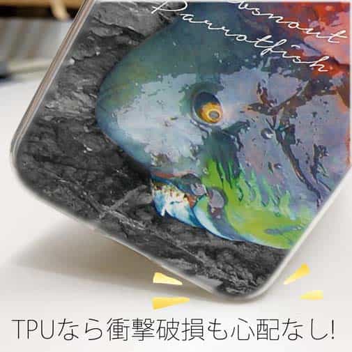 【TPU】アオブダイ