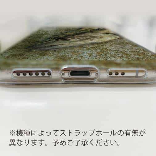 【TPU】表層のギャング・サワラ