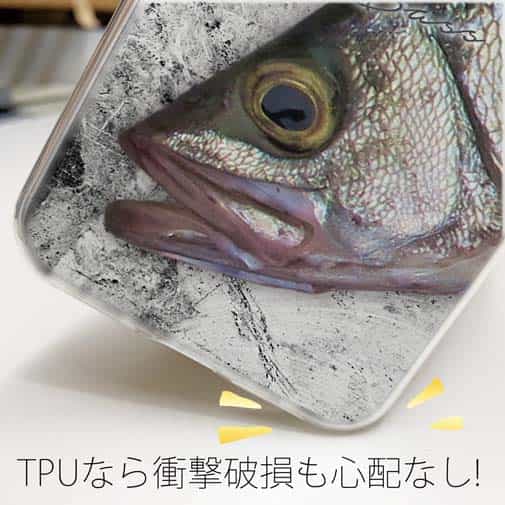 【TPU】ヒラスズキの目