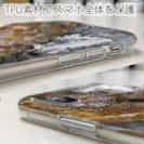 【TPU】マーブルドロックフィッシュ　カサゴ