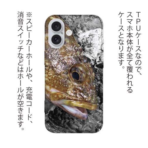【TPU】マーブルドロックフィッシュ　カサゴ