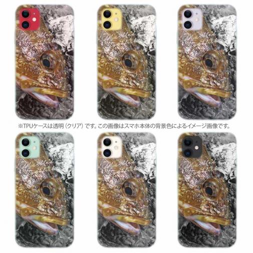 【TPU】マーブルドロックフィッシュ　カサゴ