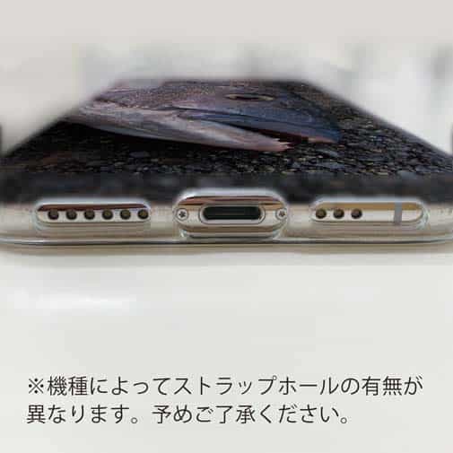 【TPU】年無しチヌ