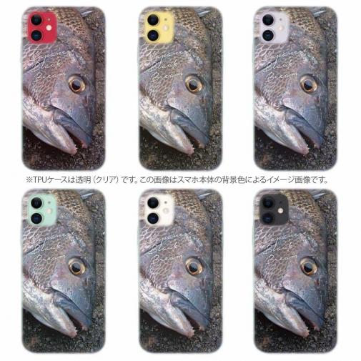 【TPU】年無しチヌ