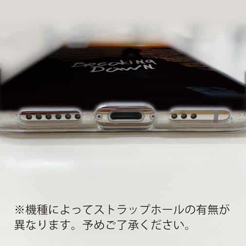 【TPU】磯の夜明け　Breaking Dawn