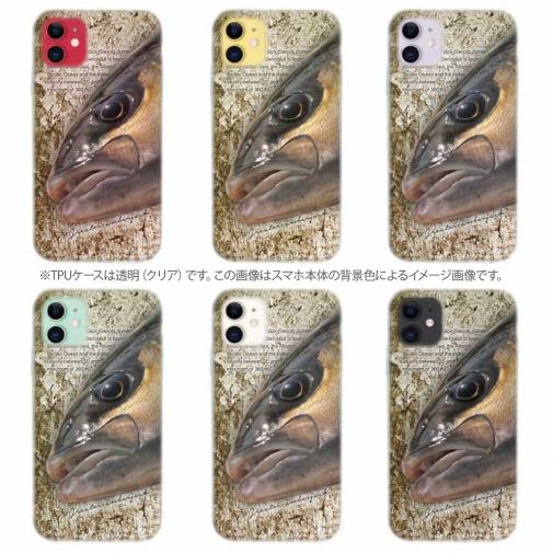 【TPU】カンパチ　グレーターアンバージャック