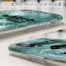 【TPU】魚はどこへ行った?