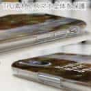 【TPU】アオリイカ柄