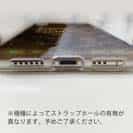 【TPU】アオリイカ柄