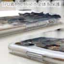 【TPU】チヌ（クロダイ）　ポリコン・デザイン