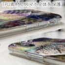 【TPU】チヌ(クロダイ)　12カラーズ