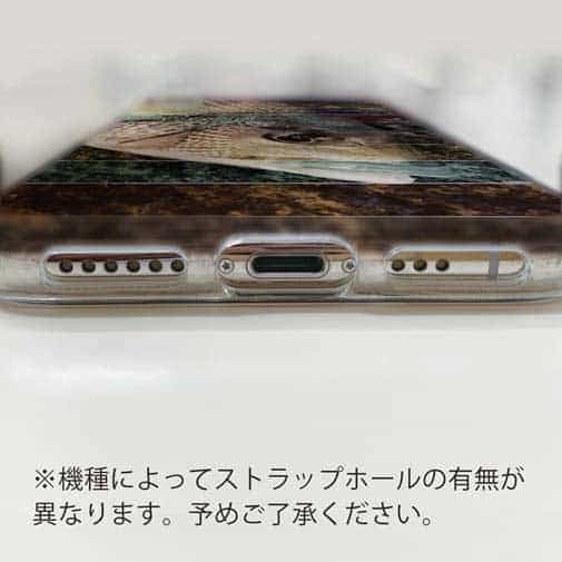 【TPU】チヌ(クロダイ)　12カラーズ