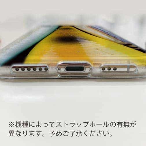 【TPU】ルアーの柄3種