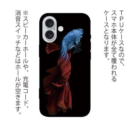 【TPU】トラディショナル・ベタ　ブルー　縦