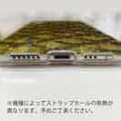 【TPU】ゴールデンテンチの鱗