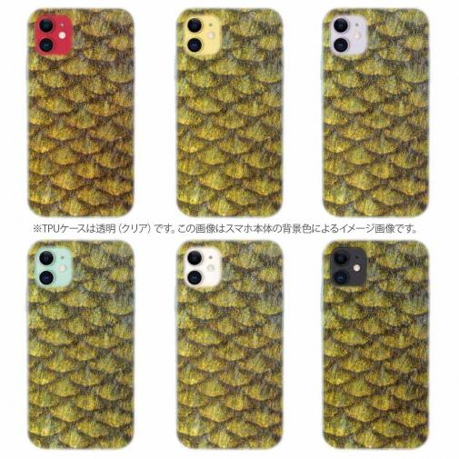 【TPU】ゴールデンテンチの鱗